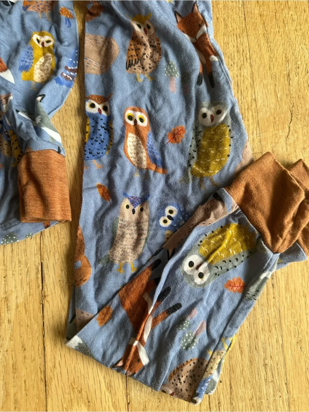 Little Sleepies Woodland Animal Friends Blue 2T Long Sleeve Pants Pajamas